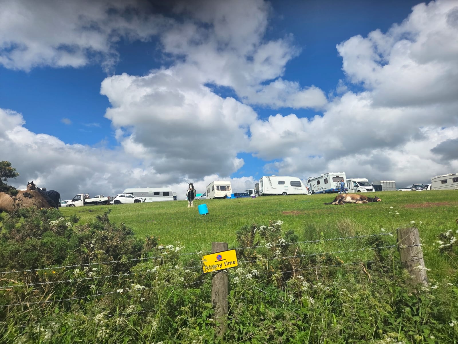 Appleby Through the Eyes of a Travelling Family